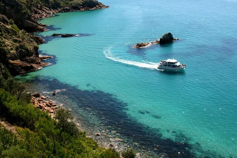 Phillip Island: schilderachtige cruise van 1 uur op Cape Woolamai