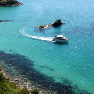 Phillip Island: 1-Hour Cape Woolamai Nature Cruise