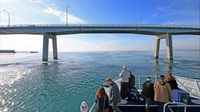Phillip Island, 1-Hour Cape Woolamai Scenic Cruise - Housity