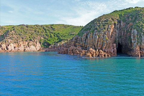 Phillip Island: crociera panoramica di 1 ora a Cape WoolamaiPhillip Island: crociera naturalistica di 1 ora a Cape Woolamai