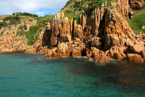 Phillip Island: crociera panoramica di 1 ora a Cape WoolamaiPhillip Island: crociera naturalistica di 1 ora a Cape Woolamai