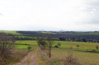 Viaje de un día a Rothenburg desde Frankfurt - Housity