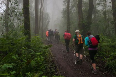 Однодневная поездка в национальный парк горы Килиманджаро