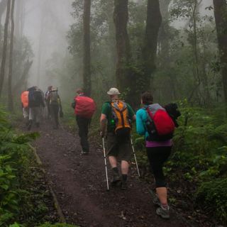 Excursión de un día al Parque Nacional Monte Kilimanjaro