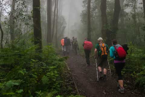 Mount Kilimanjaro National Park Day Trip