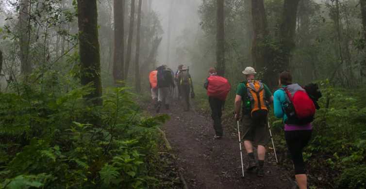 Mount Kilimanjaro National Park Day Trip GetYourGuide