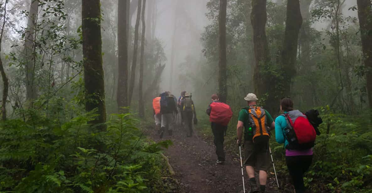 Mount Kilimanjaro National Park Day Trip