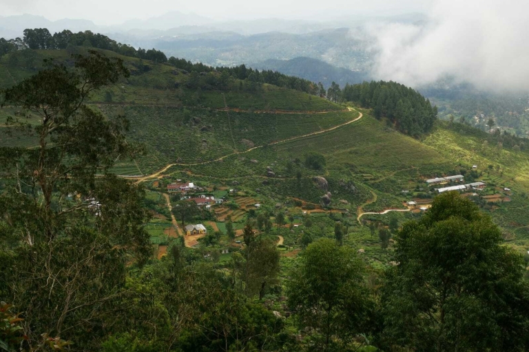Bandarawela: 3-Day Hiking Trip with Meals and Accommodation