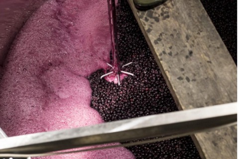 Ankara: Kavaklıdere Winery Tour and Wine Tasting Shared group Kavaklıdere Winery Tour and Wine Tasting