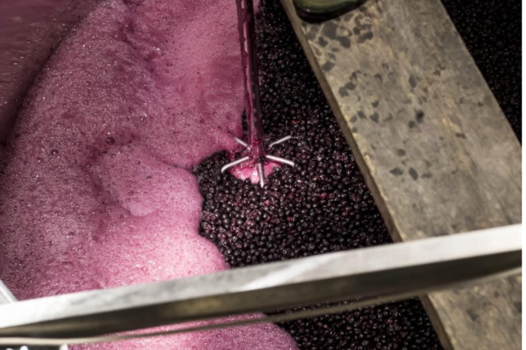 Ankara: Kavaklıdere Winery Tour and Wine Tasting Shared group Kavaklıdere Winery Tour and Wine Tasting