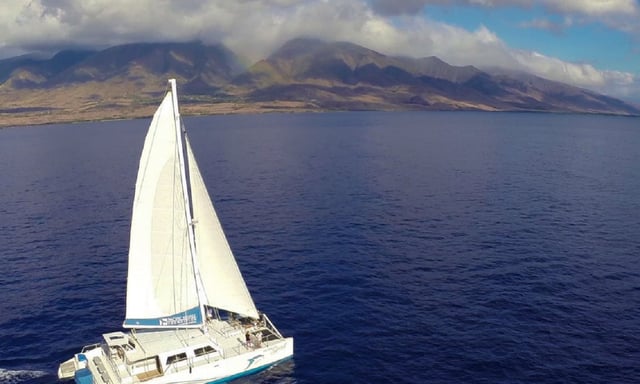 Maui: Delfin vitorlás kaland ebéddel és itallal