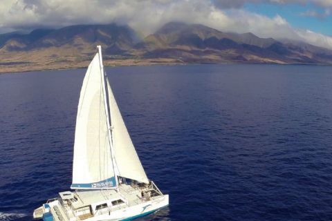 Maui: Delphin-Segelabenteuer mit Mittagessen und Getränken