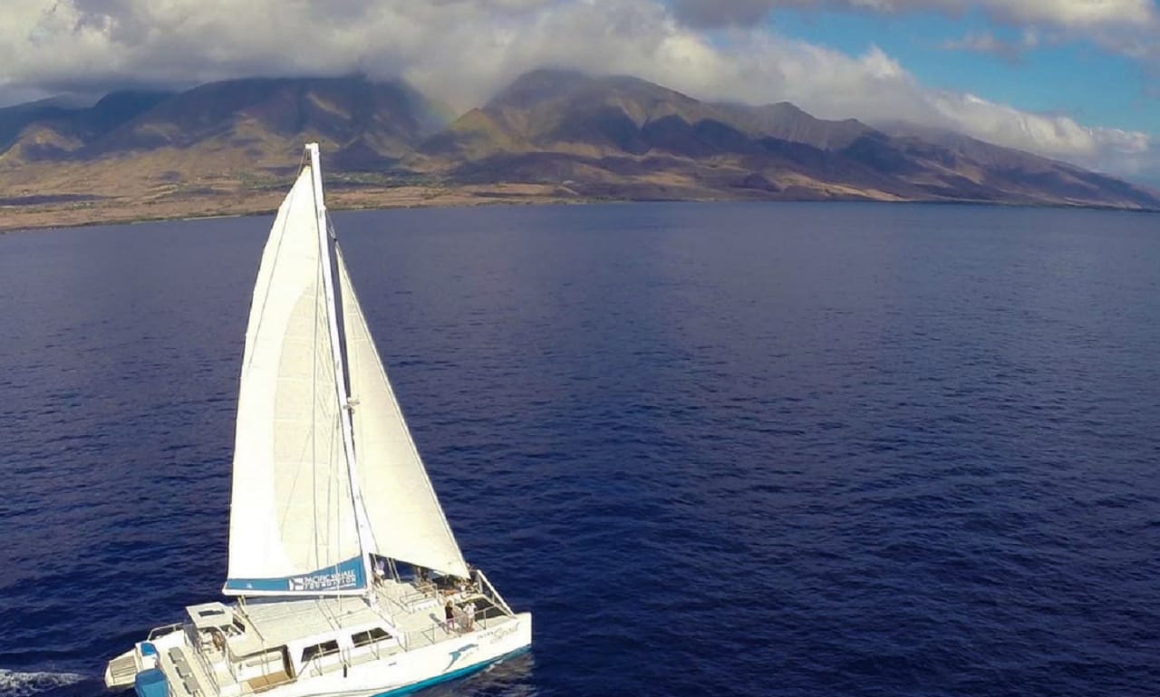Maui: Delphin-Segelabenteuer mit Mittagessen und Getränken
