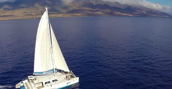 Maui: Dolphin Sailing Adventure with Lunch and Drinks