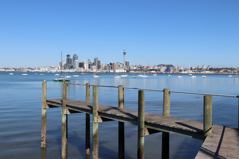 Auckland: excursión de día completo de barco a la costaOpción estándar