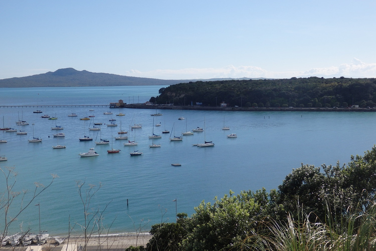 Auckland: excursión de día completo de barco a la costaOpción estándar