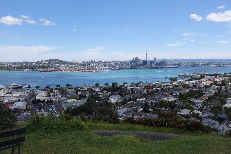 Auckland: Excursão de um dia inteiro de navio para terra