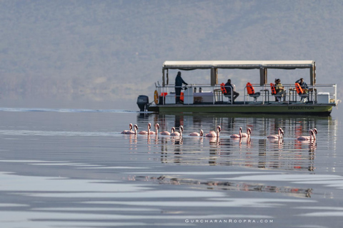 Au départ de Nairobi : Visite d&#039;une jounée du parc national du lac Nakuru