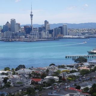 Auckland: visite touristique d'une demi-journée