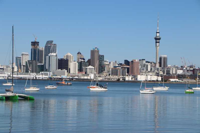 sightseeing in auckland new zealand