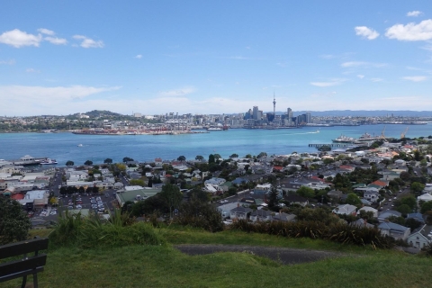 Auckland: Halbtägige landschaftliche Besichtigungstour
