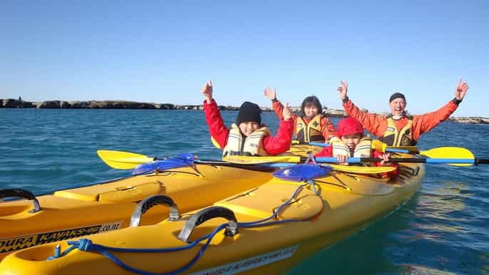kaikoura guided family kayaking adventure
