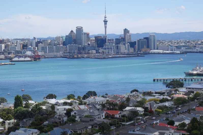 Auckland : Excursion d'une demi-journée entre le navire et le rivage