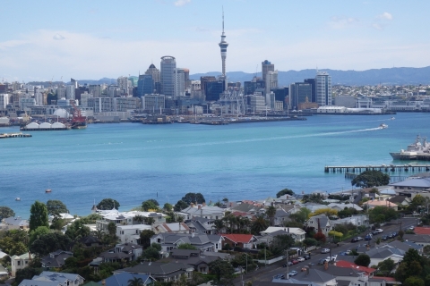 Auckland: Ship to Shore Half-Day Excursion Standard Option