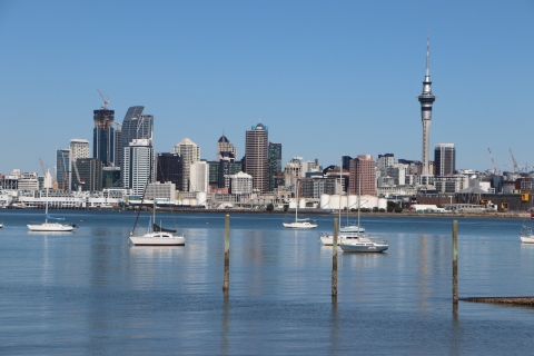 Auckland: excursión de medio día de barco a la costaOpción estándar
