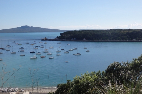 Auckland: excursion d'une demi-journée de bateau à terreOption standard