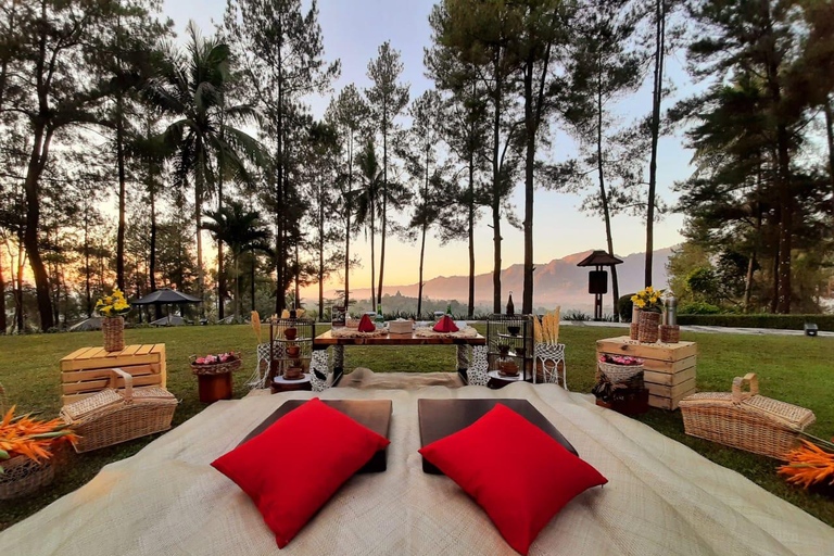 Yogyakarta: Exclusive 3D2N Wellness Tour in Borobudur