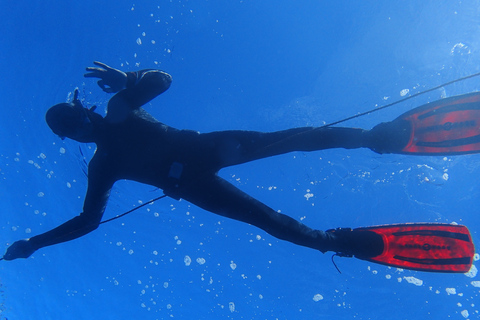 Azory: Doświadczenie freedivingu