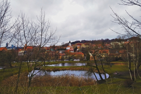 Vilnius: Mysterious Miracles Zelfgeleide gamewandeling