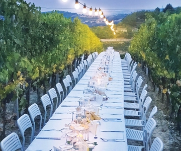 Montepulciano: Tuscan Winery Tour with Wine Tasting & Meal