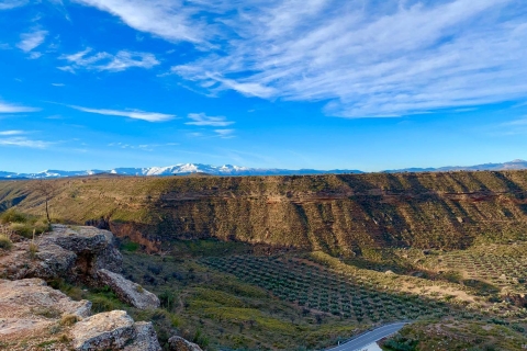 Geopark Granada: Pustynia i wycieczka po prehistorii z lunchemWspólna grupa do 20 osób
