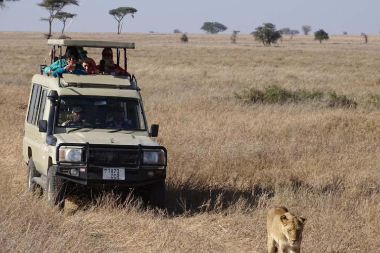Arusha: 3-tägige Safari nach Tarangire, Ngorongoro und Lake Manyara