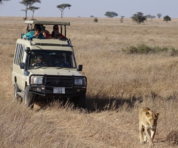 Arusha:3 Days Safari to Tarangire, Ngorongoro & Lake Manyara