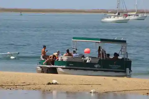 Depuis Faro : excursion en catamaran sur 2 îles et 2 escales à Ria Formosa