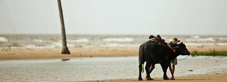 Belém : Excursion d'une journée sur l'île de Marajó avec visite d'une ferme de bisons