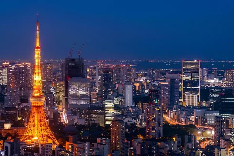 Tokyo Private Tour with English speaking driver Minivan (1-6)