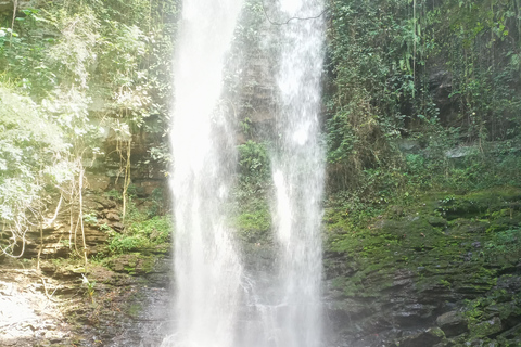 Accra: Ghana Shea Butter Waterfall Massage Therapy