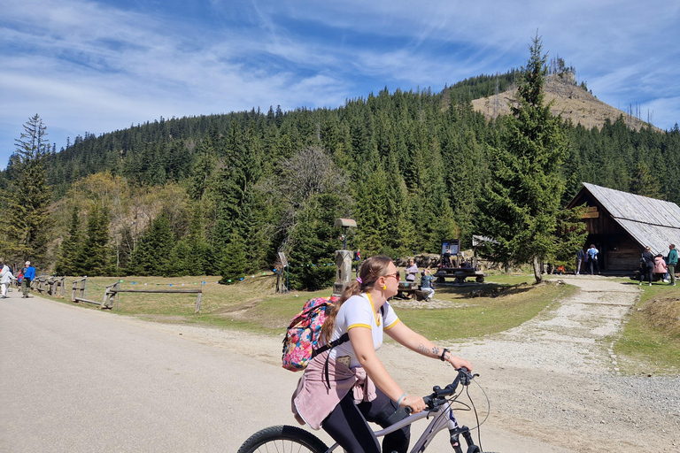 Zakopane: Chochołowska Valley Bike Tour with Transfer