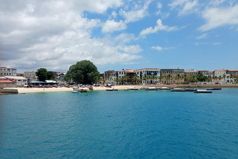 Explore Zanzibar: Stone Town Walking Tour with All History NO TRANSFER INCLUDED IN THIS OPTION