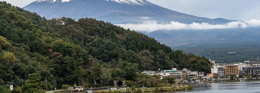 Från Tokyo: Privat scenisk dagstur till sjön Kawaguchi-ko
