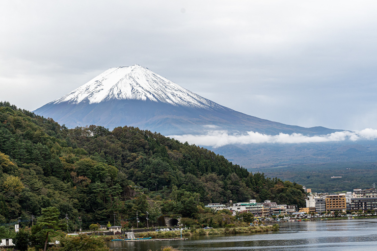 Från Tokyo: Privat naturskön dagsutflykt till Kawaguchi-ko LakeFrån Tokyo: Privat dagsutflykt till Kawaguchi-ko Lake från Tokyo