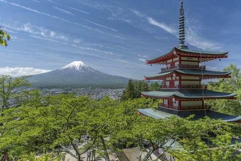 Från Tokyo: Privat naturskön dagsutflykt till Kawaguchi-ko LakeFrån Tokyo: Privat dagsutflykt till Kawaguchi-ko Lake från Tokyo