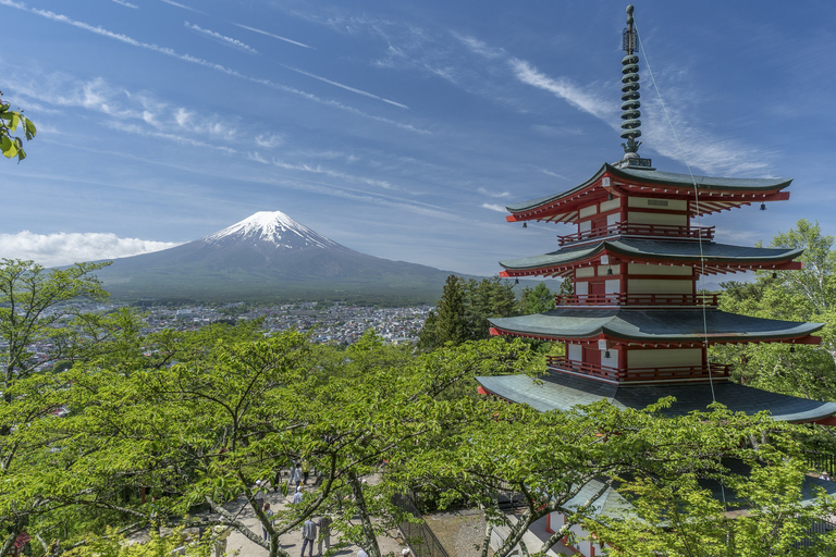 Da Tokyo: Escursione privata di un giorno al lago Kawaguchi-koDa Tokyo: gita giornaliera panoramica privata al lago Kawaguchi-ko