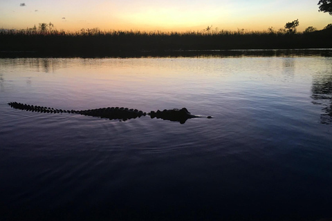 From Miami: Everglades Night Tour with Airboat Ride