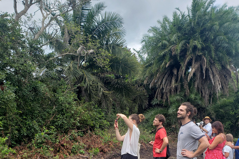 Zanzibar: tour della foresta di Jozani e del santuario delle tartarughe marine