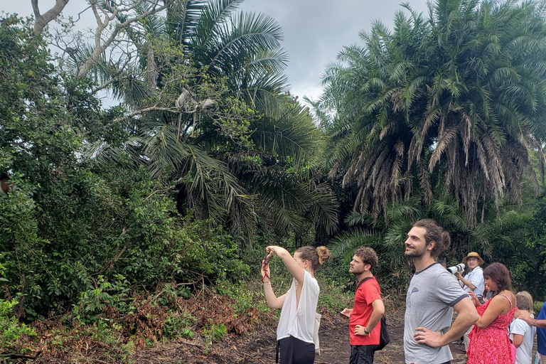 Zanzibar: tour della foresta di Jozani e del santuario delle tartarughe marine